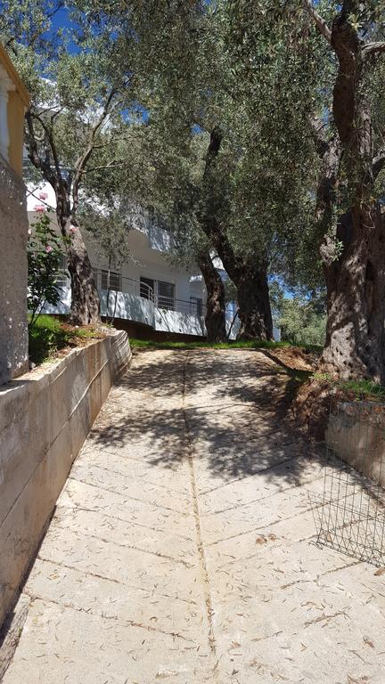 Apartments Sirena Ulcinj Extérieur photo